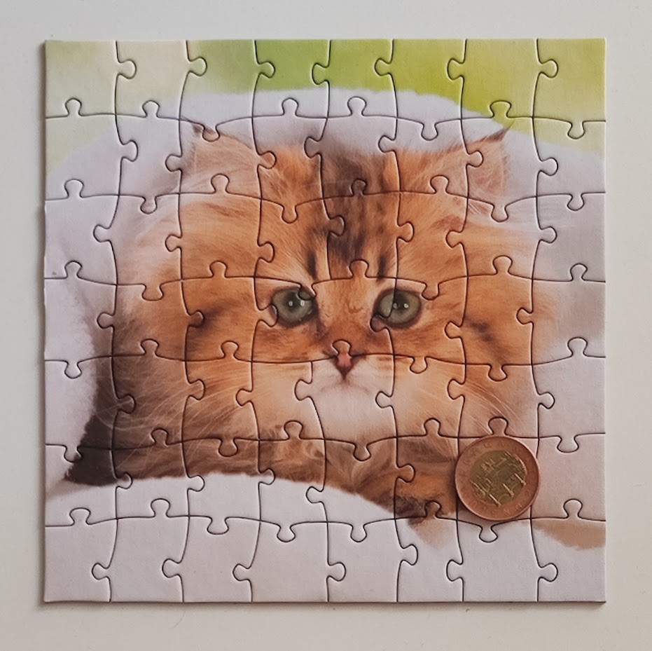Dino puzzle 3x55 dílků koťata 2